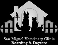 Boarding and Daycare